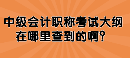 中級(jí)會(huì)計(jì)職稱考試大綱在哪里查到的啊？