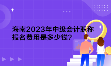 海南2023年中級會計職稱報名費用是多少錢？