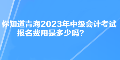 你知道青海2023年中級(jí)會(huì)計(jì)考試報(bào)名費(fèi)用是多少嗎？