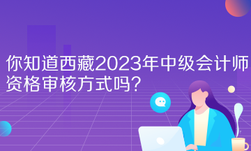 你知道西藏2023年中級會計師資格審核方式嗎？