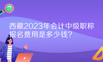 西藏2023年會計中級職稱報名費用是多少錢？