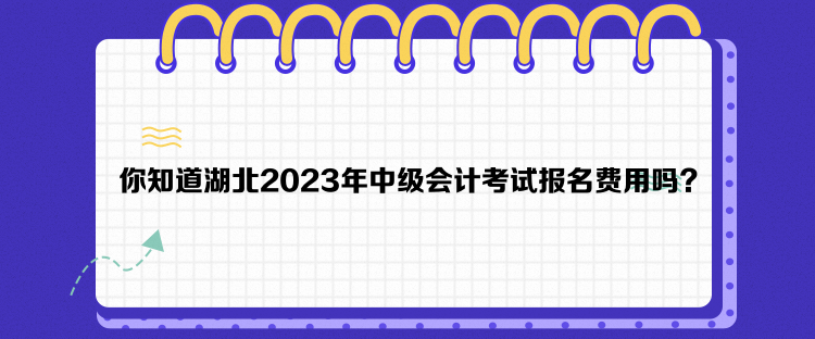 你知道湖北2023年中級(jí)會(huì)計(jì)考試報(bào)名費(fèi)用嗎？