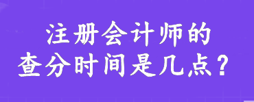 注冊會計師的查分時間是幾點？