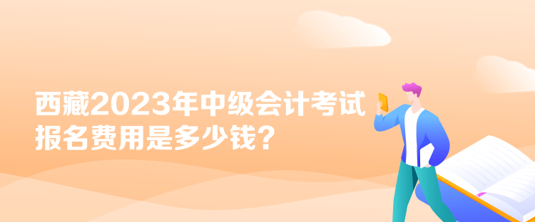 西藏2023年中級會計(jì)考試報(bào)名費(fèi)用是多少錢？