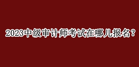 2023中級審計(jì)師考試在哪兒報(bào)名？