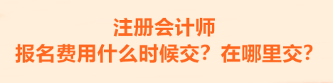 注冊會計(jì)師的報名費(fèi)用什么時候交？在哪里交？