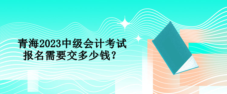 青海2023中級(jí)會(huì)計(jì)考試報(bào)名需要交多少錢？