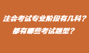 注會考試專業(yè)階段有什么考試題型？