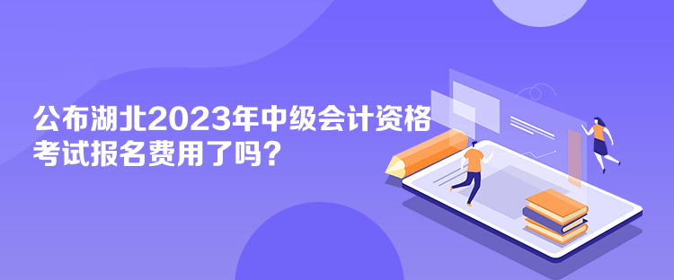 公布湖北2023年會(huì)計(jì)中級(jí)資格考試報(bào)名費(fèi)用了嗎？