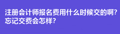 注冊(cè)會(huì)計(jì)師報(bào)名費(fèi)用什么時(shí)候交的??？忘記交費(fèi)會(huì)怎樣？