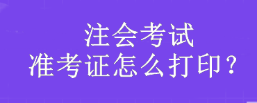 注會考試準考證怎么打?。? suffix=