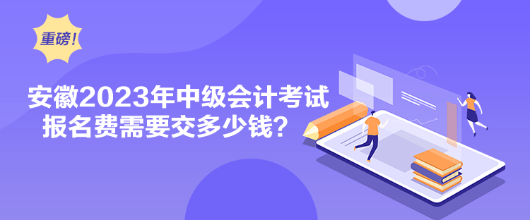 安徽2023年中級(jí)會(huì)計(jì)考試報(bào)名費(fèi)需要交多少錢？