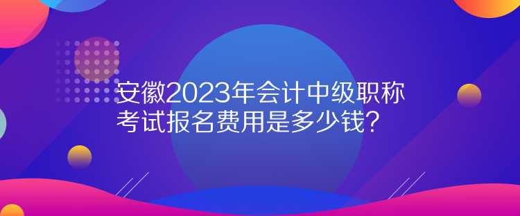 安徽2023年會計中級職稱考試報名費用是多少錢？