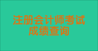 2023年注冊會(huì)計(jì)師成績查詢時(shí)間是幾號(hào)？怎么查的？