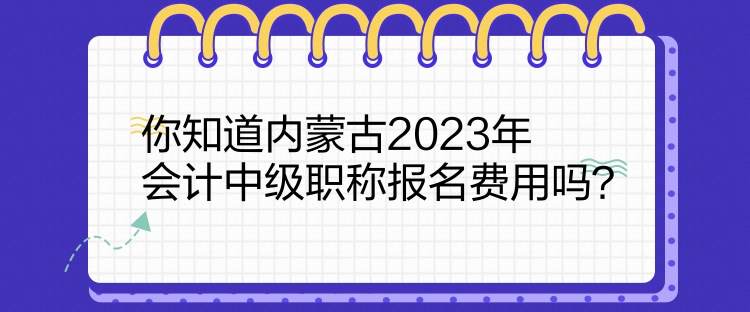 你知道內(nèi)蒙古2023年會(huì)計(jì)中級(jí)職稱報(bào)名費(fèi)用嗎？