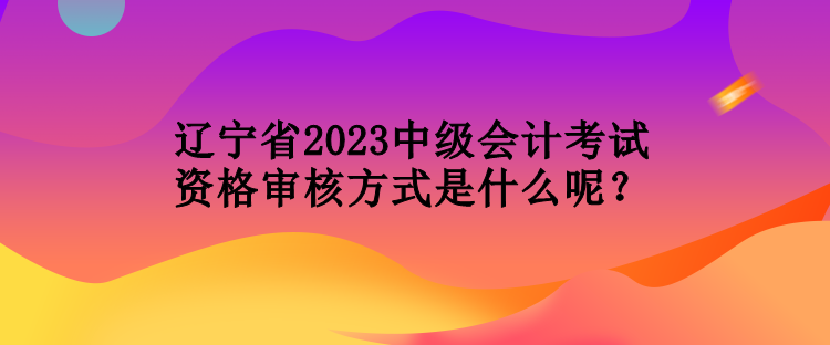 遼寧省2023中級(jí)會(huì)計(jì)考試資格審核方式是什么呢？