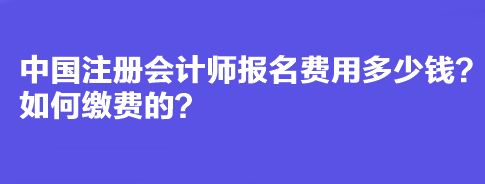 中國注冊會計(jì)師報(bào)名費(fèi)用多少錢？如何繳費(fèi)的？