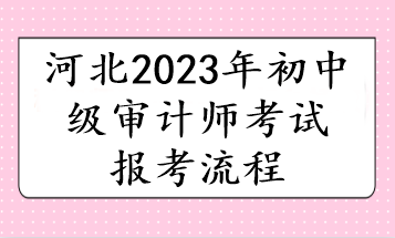 河北2023年初中級(jí)審計(jì)師考試報(bào)考流程