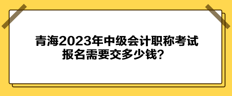 青海2023年中級(jí)會(huì)計(jì)職稱考試報(bào)名需要交多少錢？