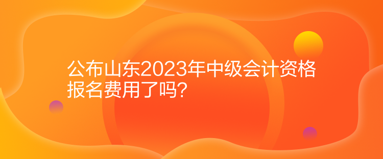 公布山東2023年中級會計(jì)資格報名費(fèi)用了嗎？