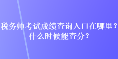 稅務(wù)師考試成績查詢?nèi)肟谠谀睦?？什么時候能查分？