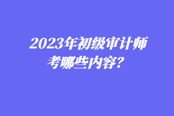 2023年初級審計師考哪些內(nèi)容？