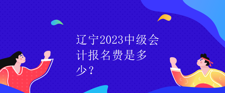 遼寧2023中級(jí)會(huì)計(jì)報(bào)名費(fèi)是多少？