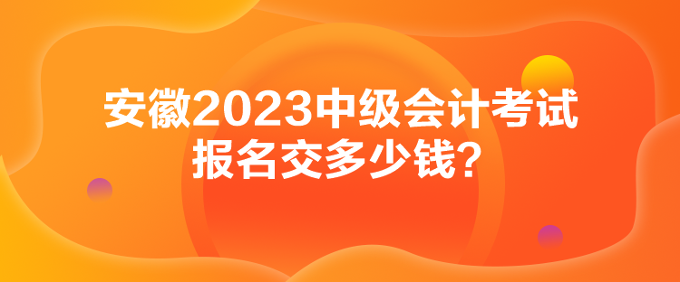 安徽2023中級會計考試報名交多少錢？