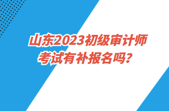 山東2023初級審計師考試有補報名嗎？