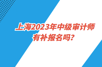 上海2023年中級審計師有補報名嗎？