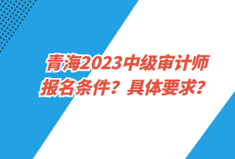 青海2023中級審計(jì)師報(bào)名條件？具體要求？