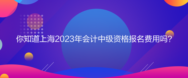 你知道上海2023年會計中級資格報名費用嗎？