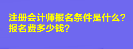 2023年注冊(cè)會(huì)計(jì)師報(bào)名條件是什么？報(bào)名費(fèi)多少錢？