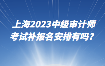 上海2023中級審計師考試補報名安排有嗎？