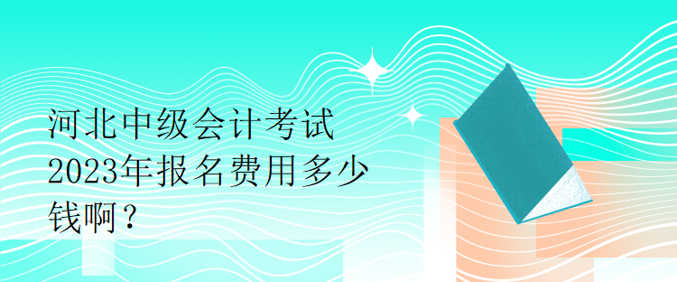 河北中級會計考試2023年報名費用多少錢啊？