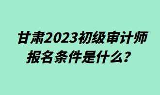 甘肅2023初級審計師報名條件是什么？