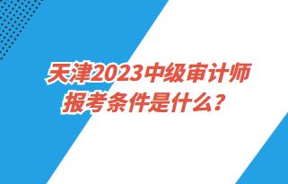 天津2023中級審計師報考條件是什么？