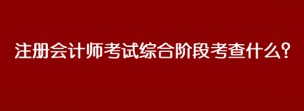 注冊會計師考試綜合階段考查什么？