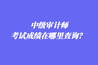 中級(jí)審計(jì)師考試成績(jī)?cè)谀睦锊樵?xún)？ 