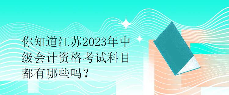 你知道江蘇2023年中級(jí)會(huì)計(jì)資格考試科目都有哪些嗎？