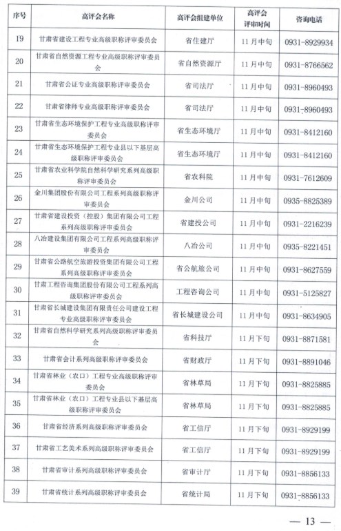 嘉峪關2023年職稱評審通知13