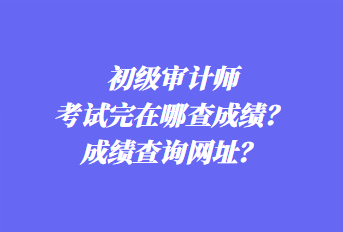 初級(jí)審計(jì)師考試完在哪查成績(jī)？成績(jī)查詢網(wǎng)址？