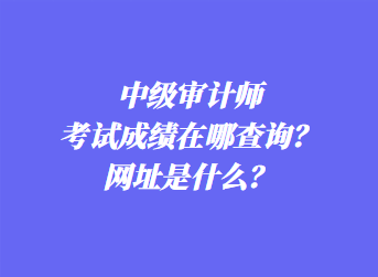 中級(jí)審計(jì)師考試成績(jī)?cè)谀牟樵儯烤W(wǎng)址是什么？