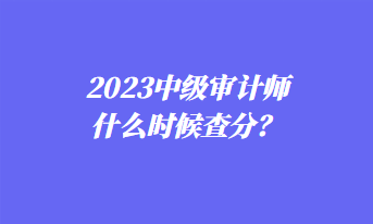 2023中級審計師什么時候查分？