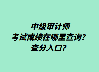 中級審計師考試成績在哪里查詢？查分入口？