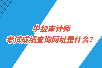 中級(jí)審計(jì)師考試成績(jī)查詢網(wǎng)址是什么？