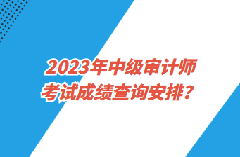 2023年中級審計師考試成績查詢安排？