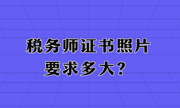 稅務(wù)師證書照片要求多大？