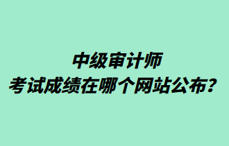 中級審計師考試成績在哪個網站公布？