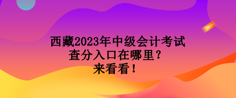 西藏2023年中級會計考試查分入口在哪里？來看看！